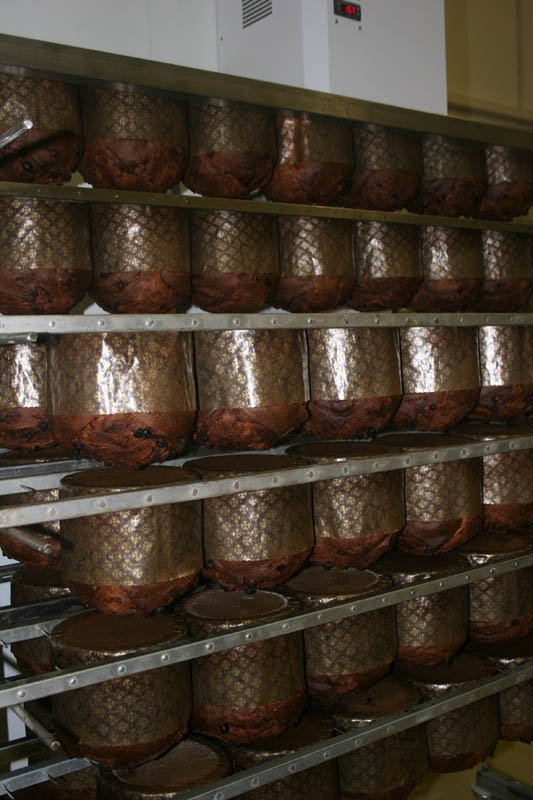 panettoni e pandori artigianali pasticceria 2 esse